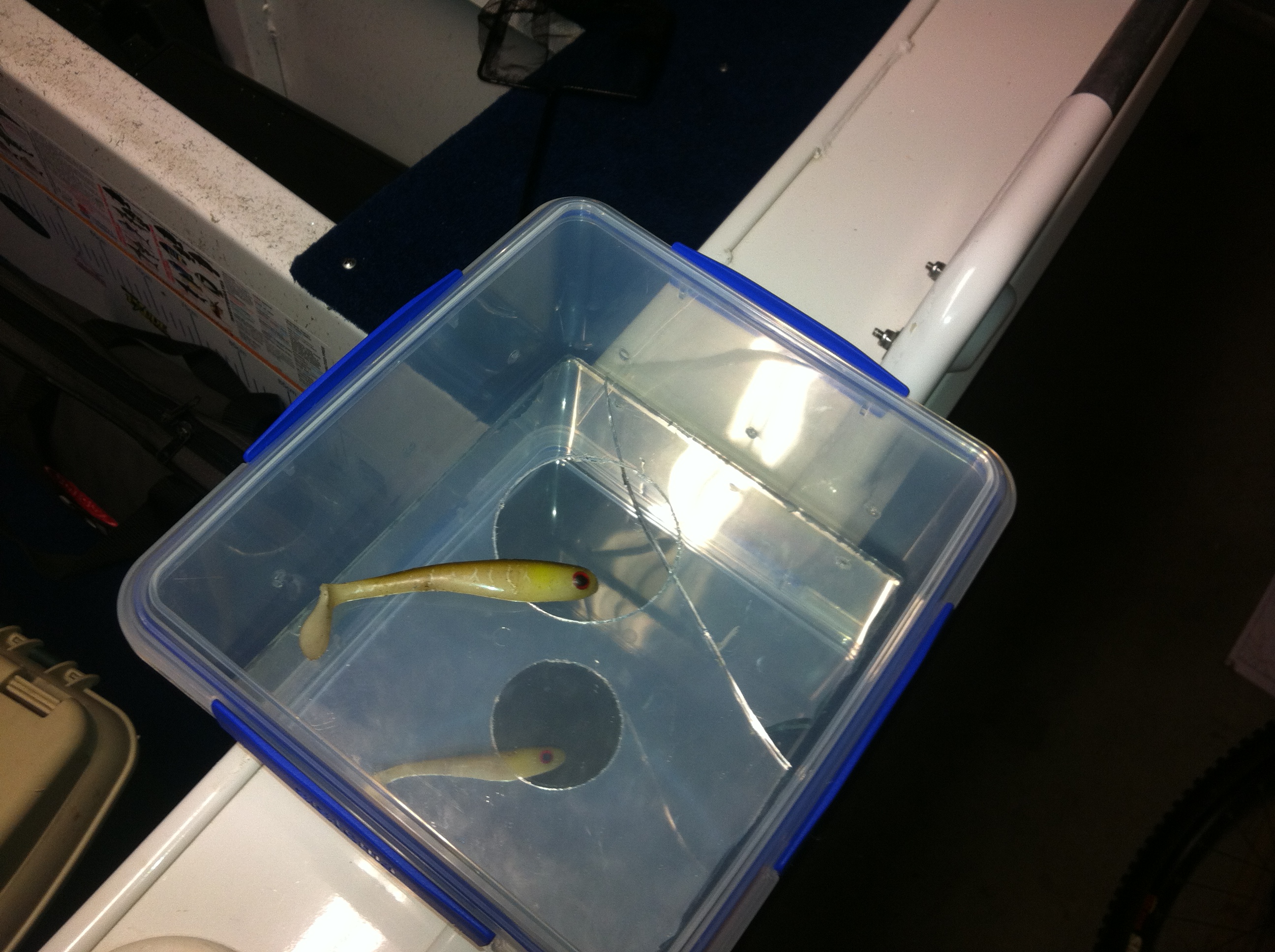 Poddy Mullet Trap Fishing Chat Fishraider